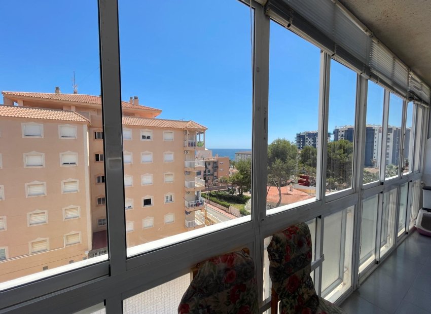 Herverkoop - Appartement / flat - Punta Prima