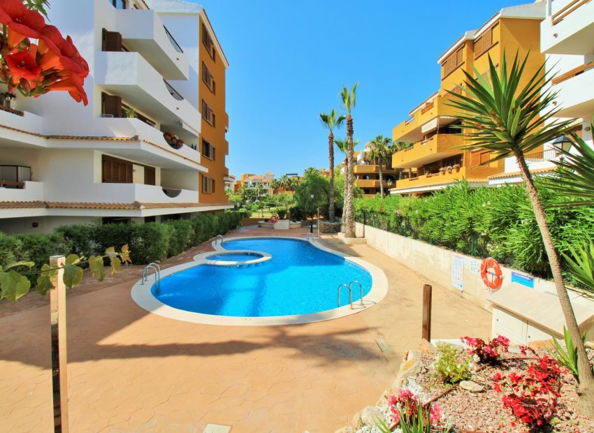 Herverkoop - Appartement / flat - Punta Prima