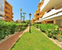 Herverkoop - Appartement / flat - Punta Prima