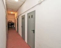 Herverkoop - Appartement / flat - Punta Prima