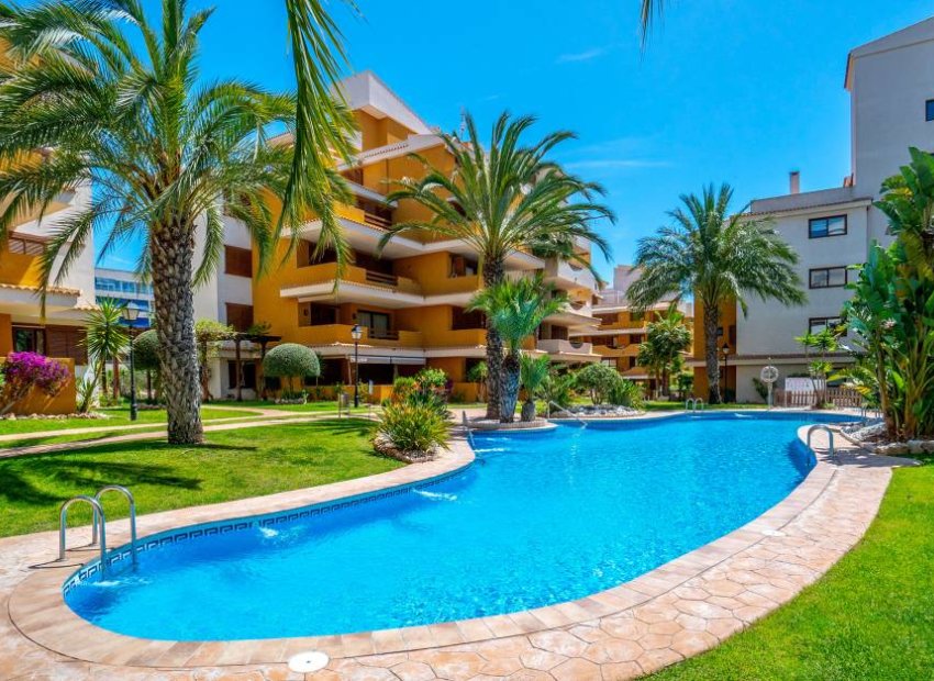 Herverkoop - Appartement / flat - Punta Prima