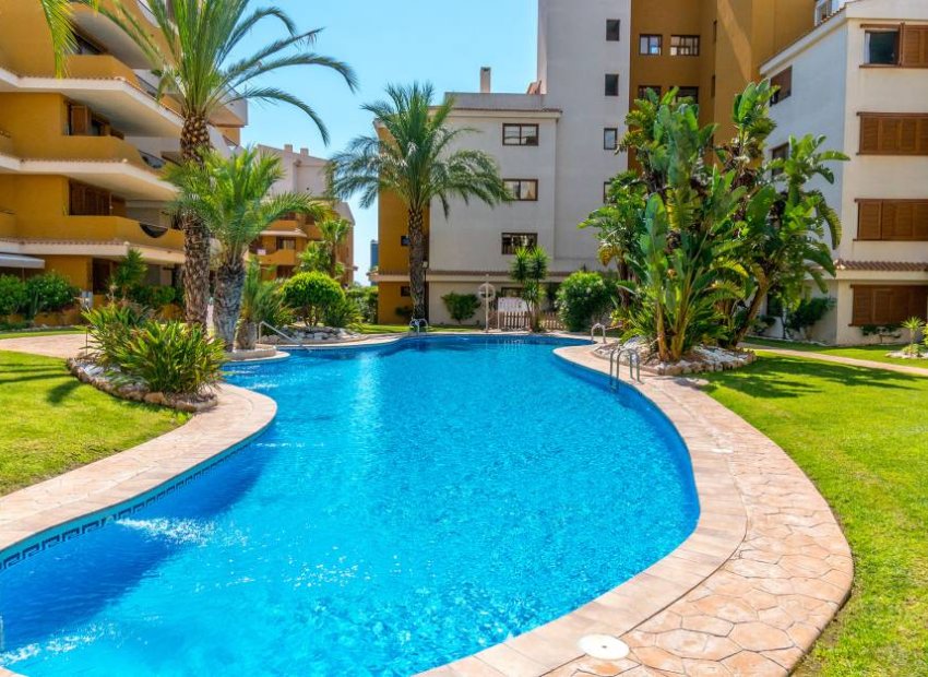 Herverkoop - Appartement / flat - Punta Prima