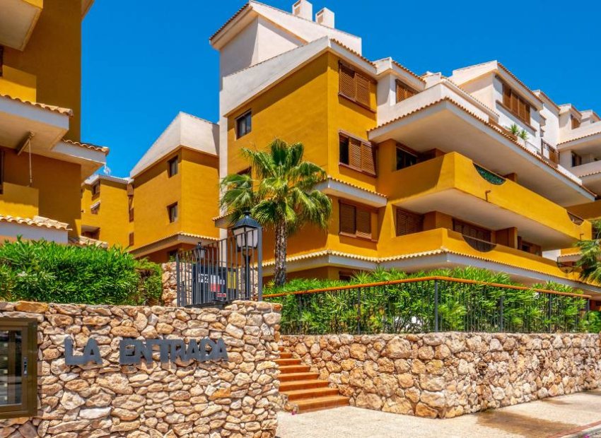 Herverkoop - Appartement / flat - Punta Prima