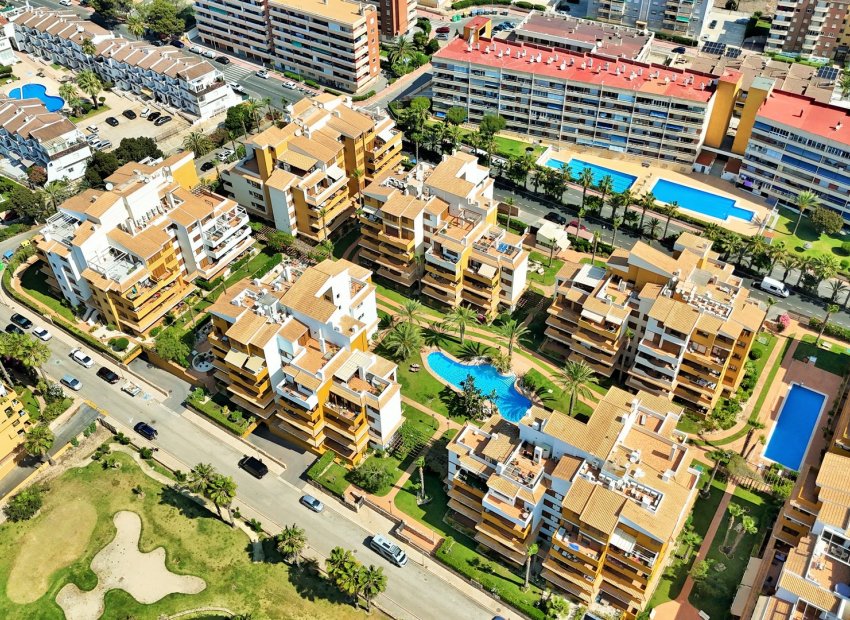 Herverkoop - Appartement / flat - Punta Prima