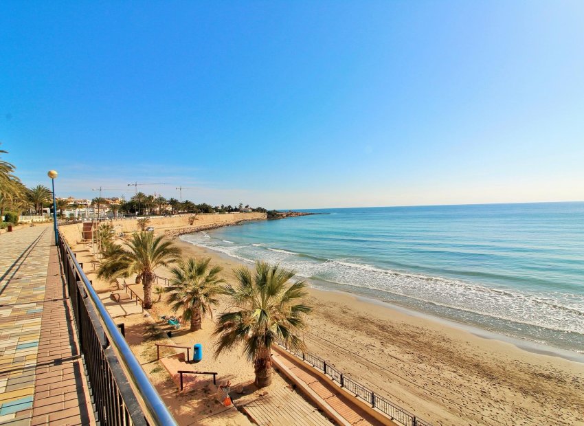 Herverkoop - Appartement / flat - Punta Prima