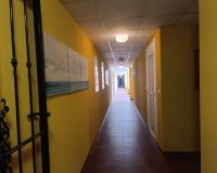 Herverkoop - Appartement / flat - Rafal