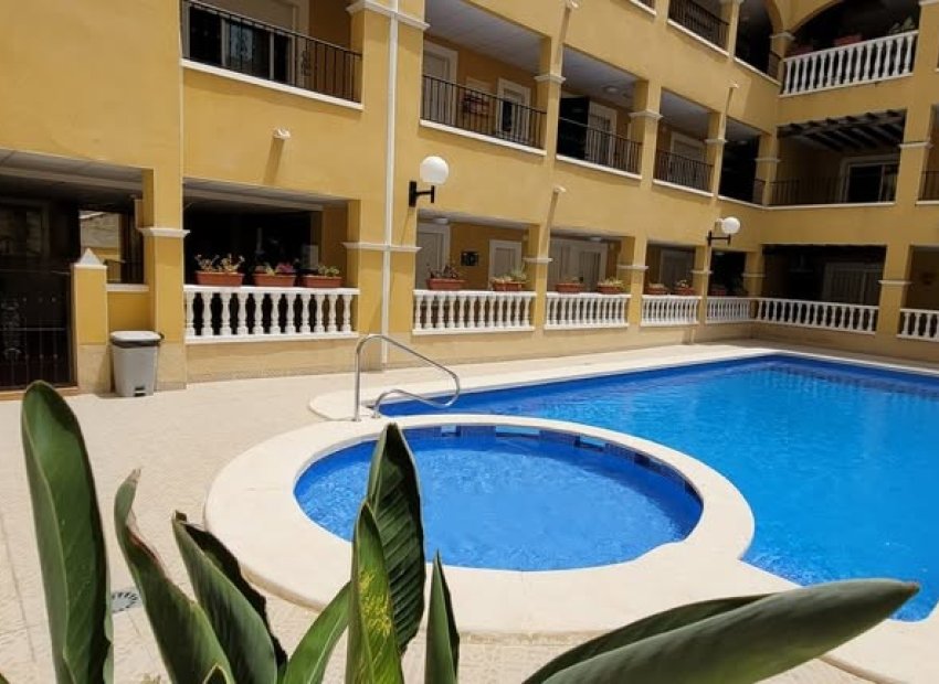 Herverkoop - Appartement / flat - Rafal