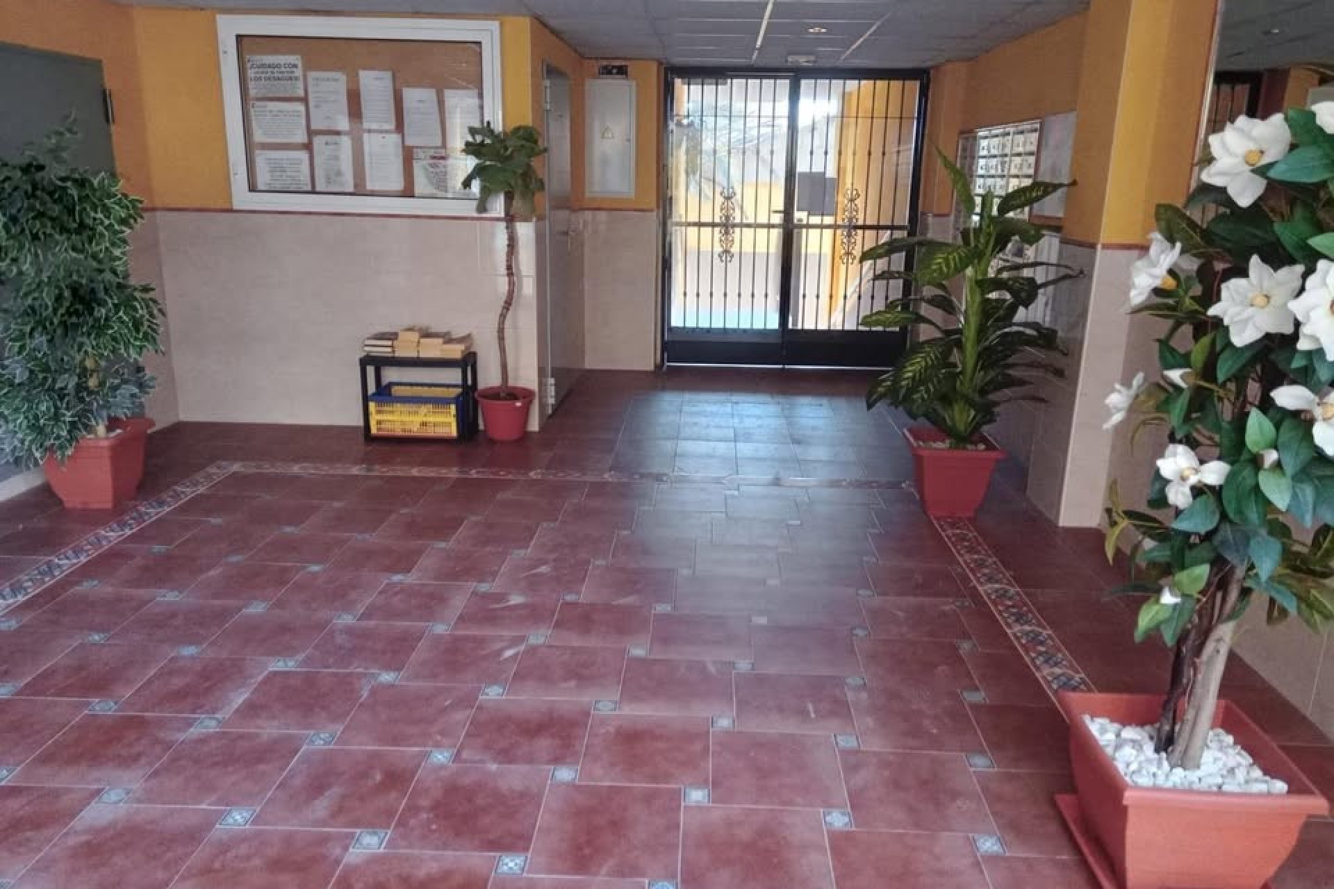 Herverkoop - Appartement / flat - Rafal