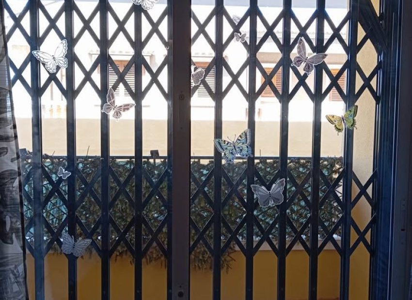 Herverkoop - Appartement / flat - Rafal