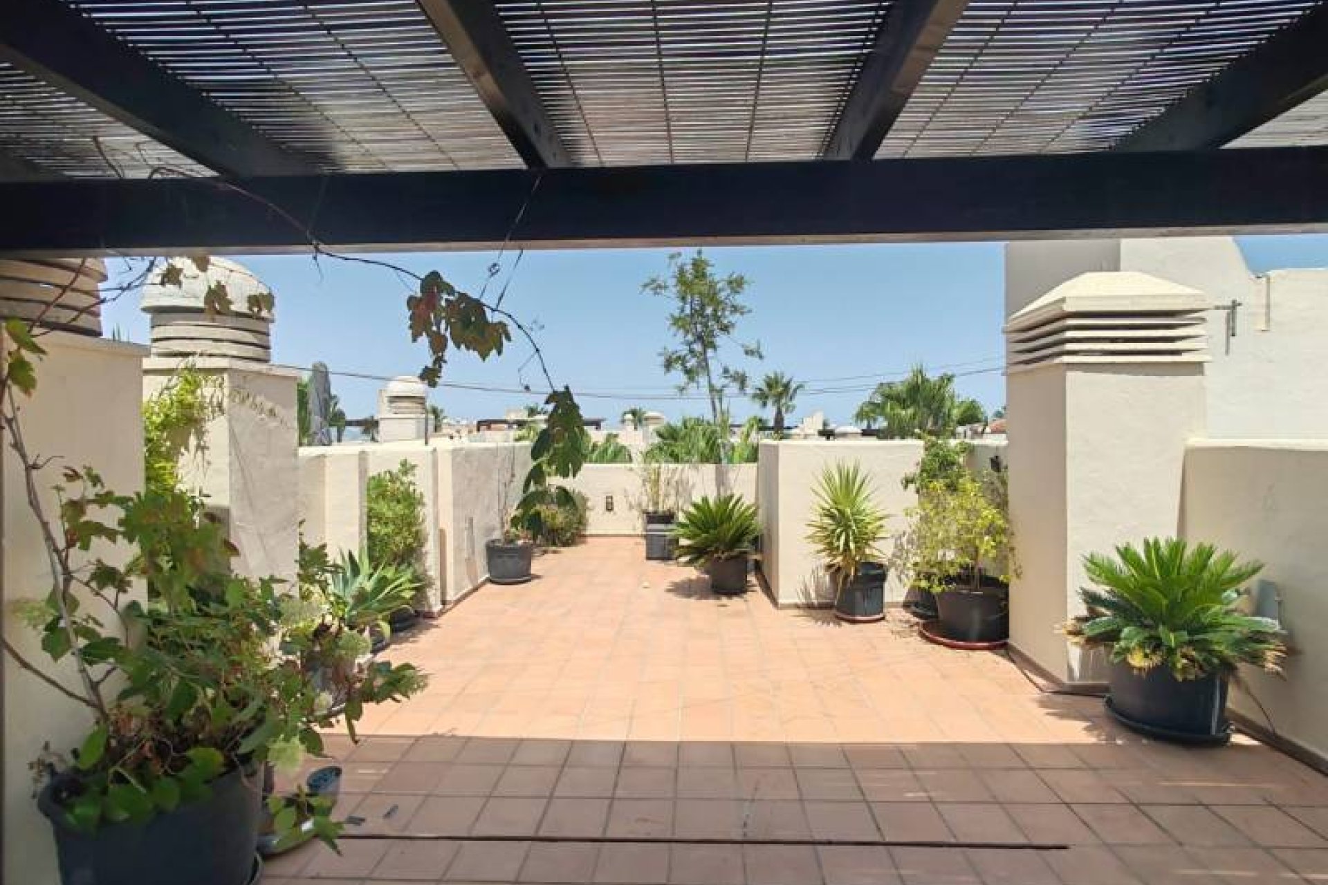 Herverkoop - Appartement / flat - San Javier - Roda