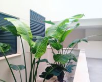 Herverkoop - Appartement / flat - Santa Pola - Gran Alacant