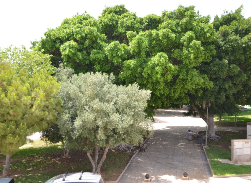 Herverkoop - Appartement / flat - Torre de la Horadada