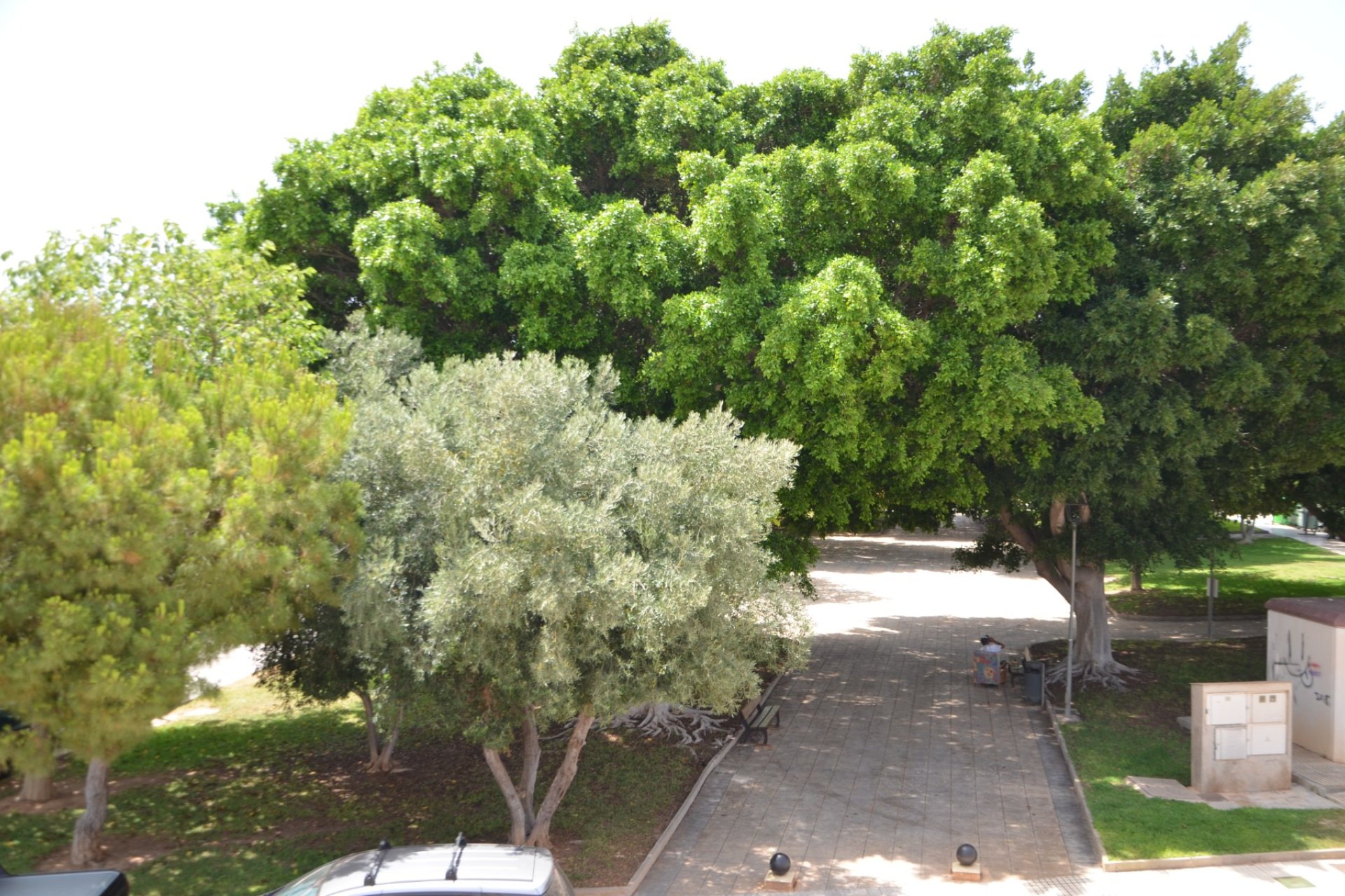 Herverkoop - Appartement / flat - Torre de la Horadada