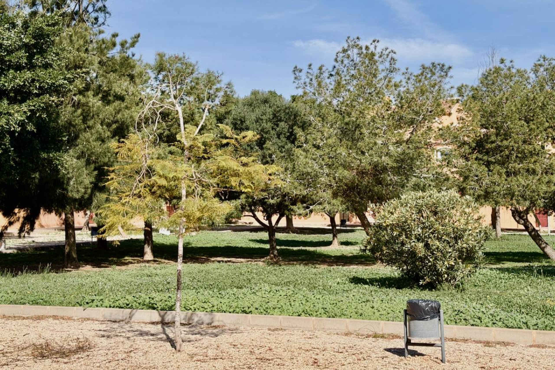 Herverkoop - Appartement / flat - Torrevieia - Aguas Nuevas