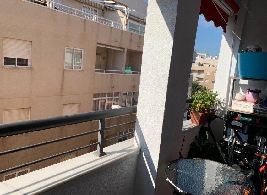 Herverkoop - Appartement / flat - Torrevieia - Center