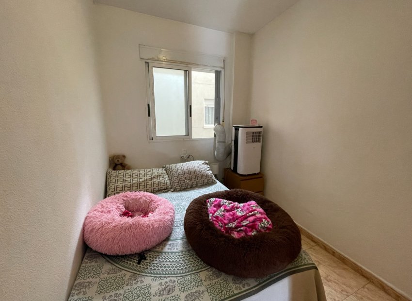 Herverkoop - Appartement / flat - Torrevieia - Comunidad Valenciana