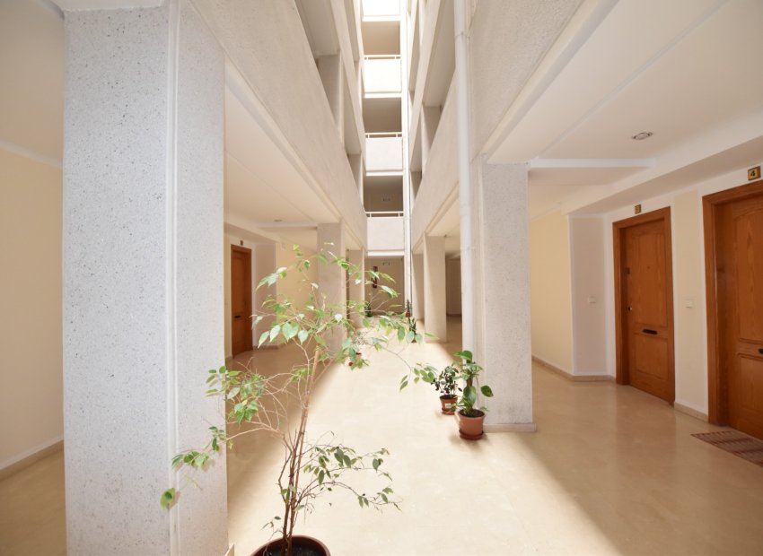 Herverkoop - Appartement / flat - Torrevieia - La Mata