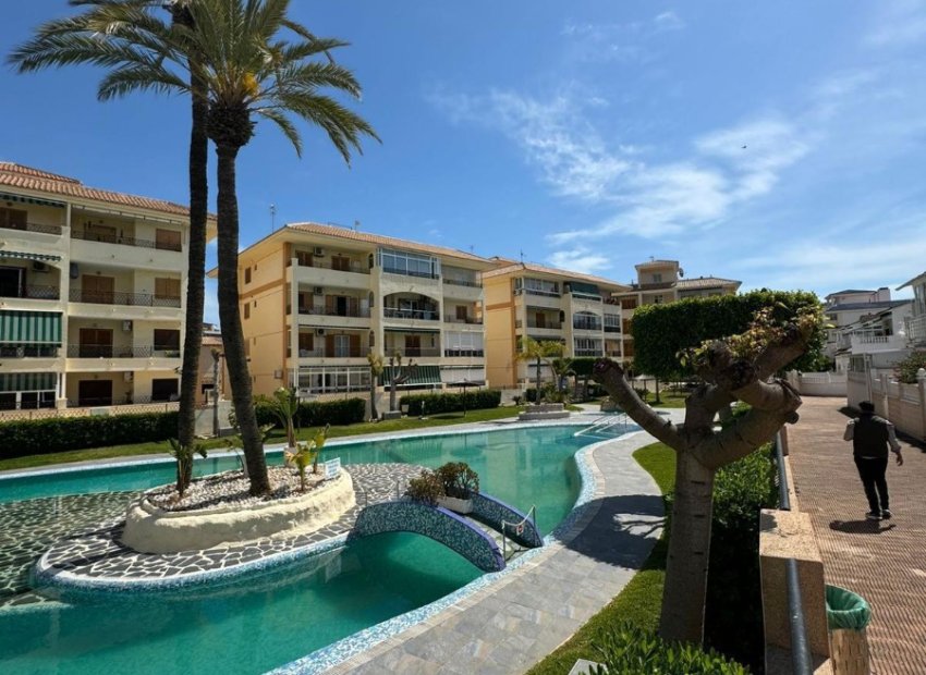 Herverkoop - Appartement / flat - Torrevieia - La Mata