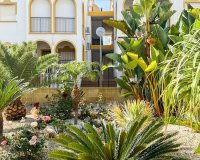 Herverkoop - Appartement / flat - Torrevieia - La Mata