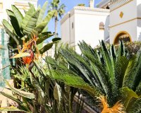 Herverkoop - Appartement / flat - Torrevieia - La Mata