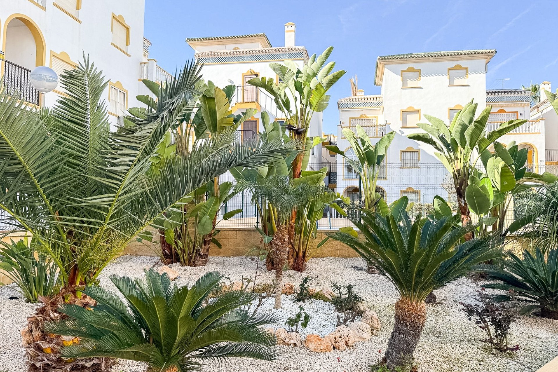 Herverkoop - Appartement / flat - Torrevieia - La Mata