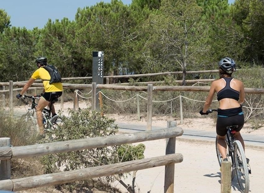 Herverkoop - Appartement / flat - Torrevieia - La Mata