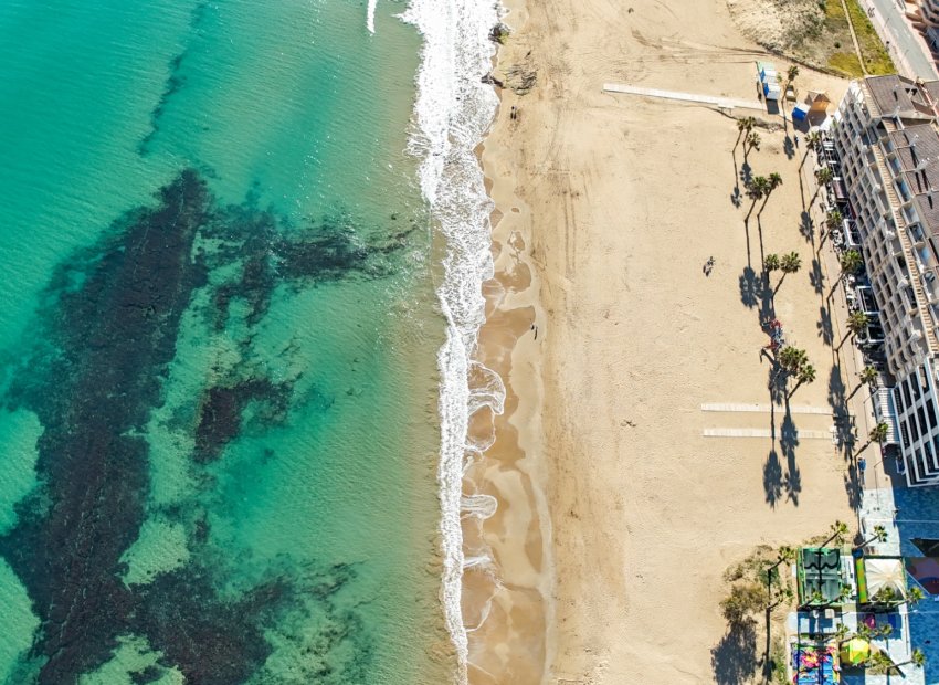 Herverkoop - Appartement / flat - Torrevieia - La Mata