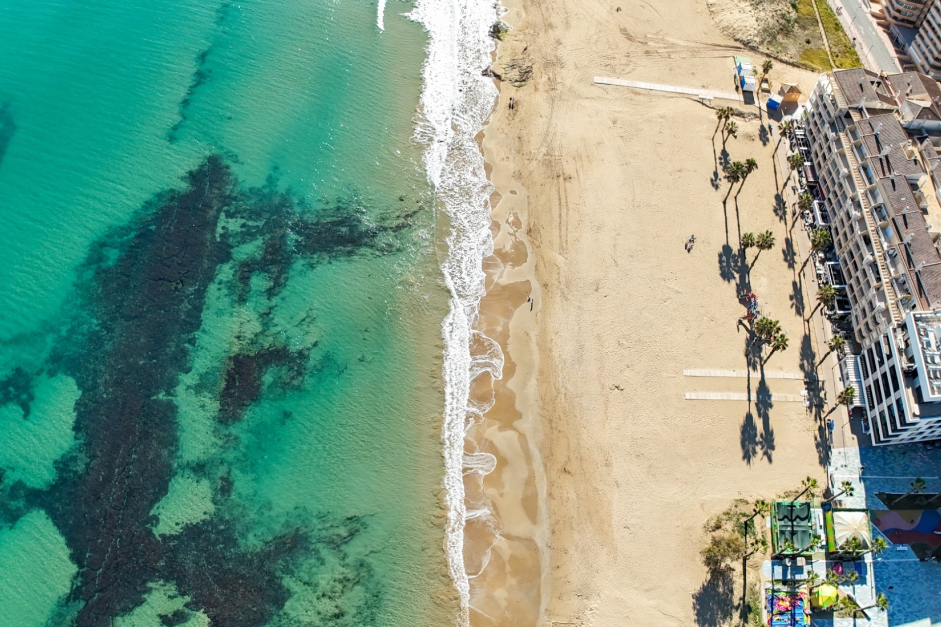 Herverkoop - Appartement / flat - Torrevieia - La Mata