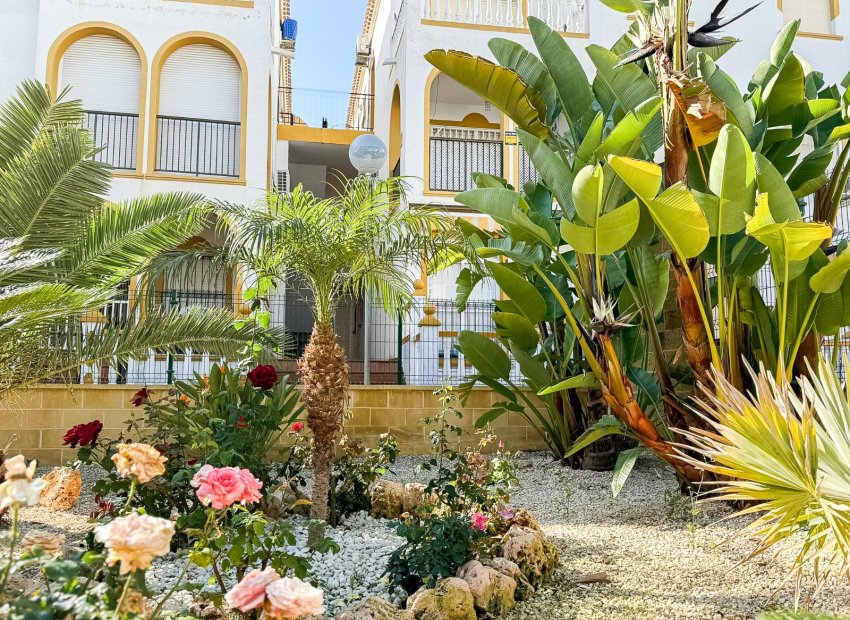 Herverkoop - Appartement / flat - Torrevieia - La Mata