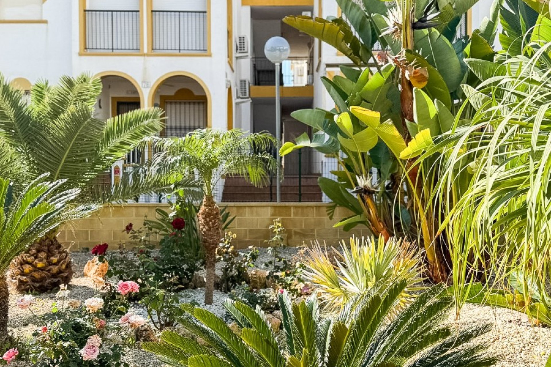 Herverkoop - Appartement / flat - Torrevieia - La Mata