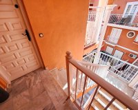 Herverkoop - Appartement / flat - Torrevieia - La Mata