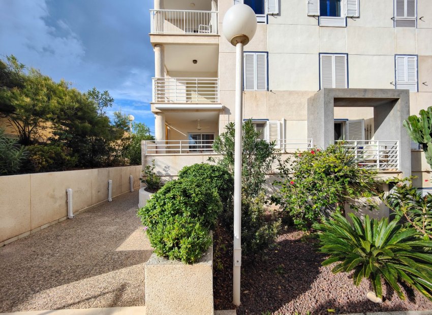 Herverkoop - Appartement / flat - Torrevieia - La Mata