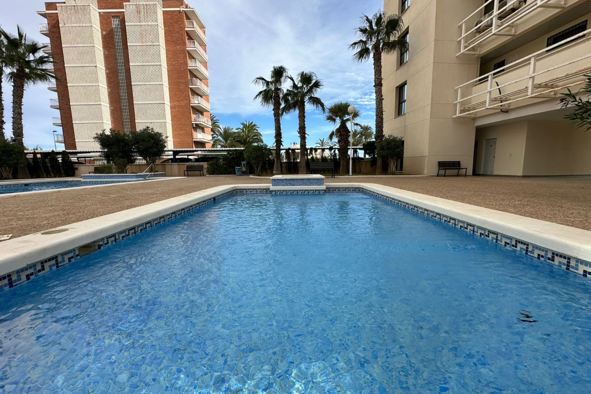 Herverkoop - Appartement / flat - Torrevieia - La Veleta