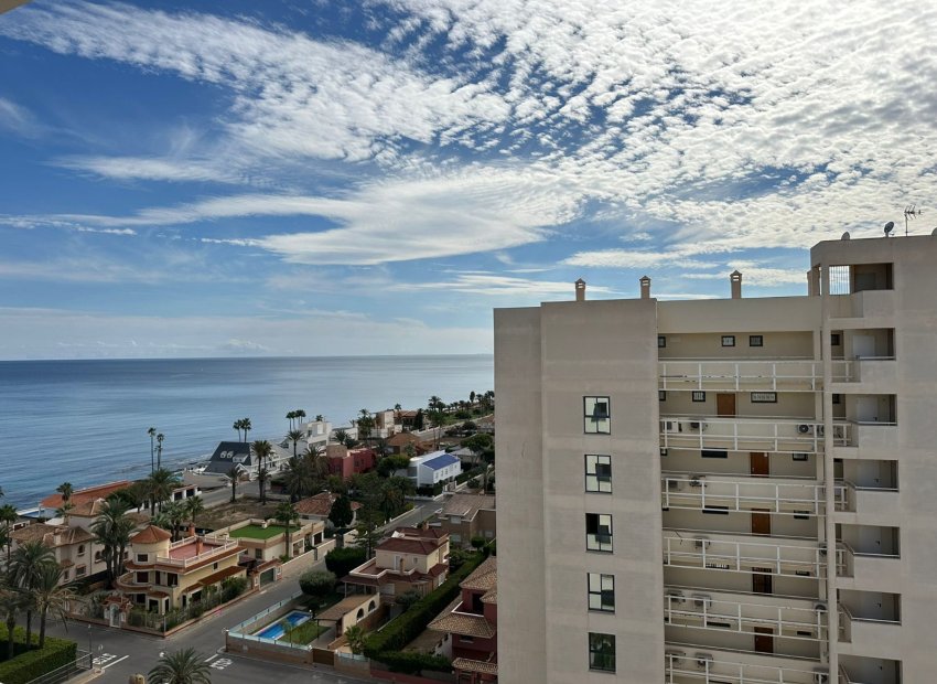 Herverkoop - Appartement / flat - Torrevieia - La Veleta