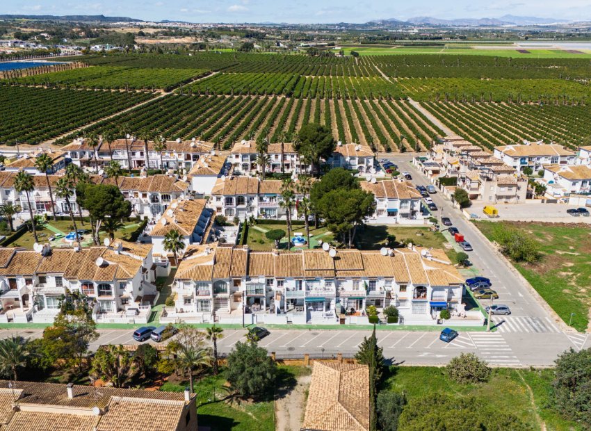 Herverkoop - Appartement / flat - Torrevieia - Lago Jardin