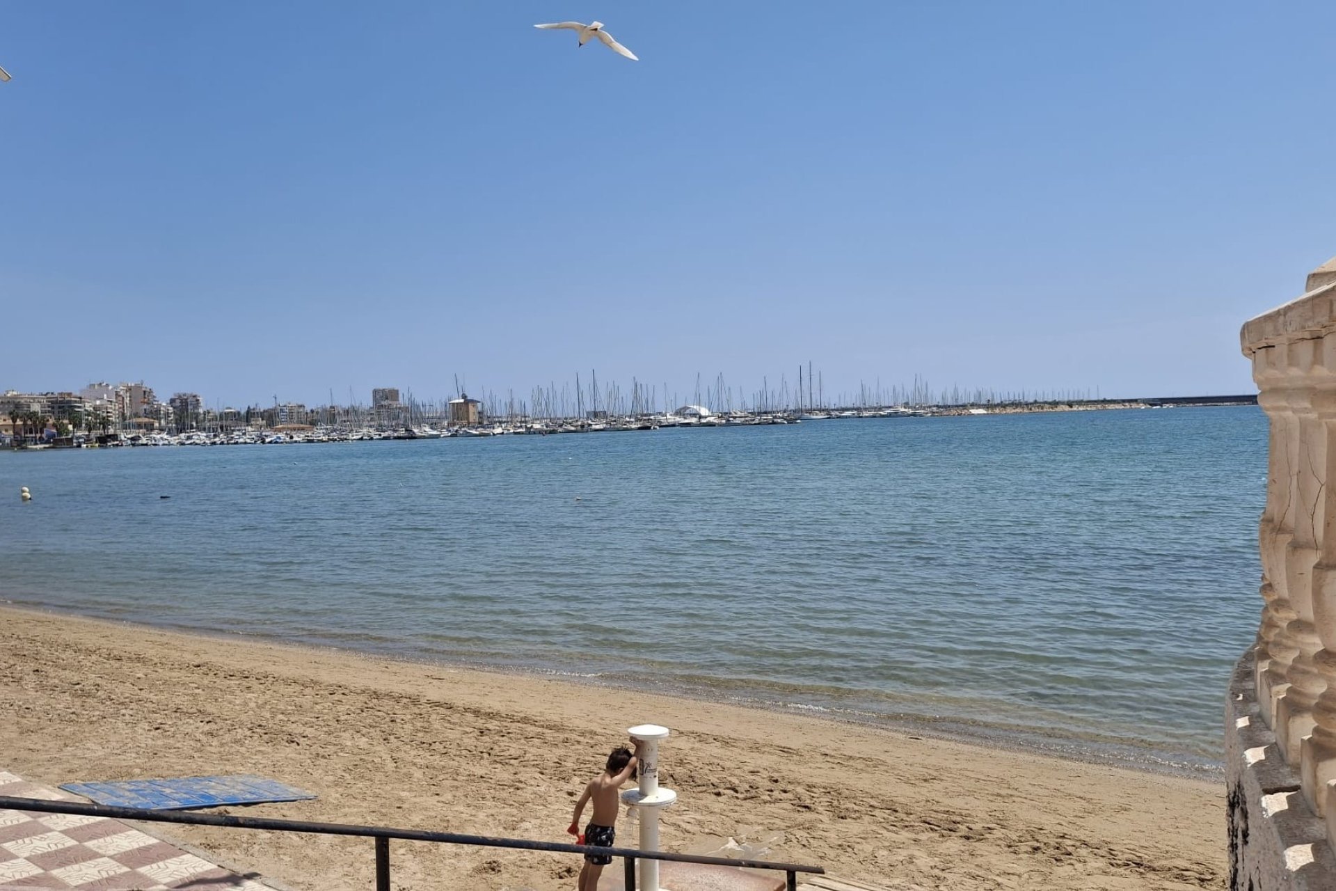 Herverkoop - Appartement / flat - Torrevieia - Playa Acequion