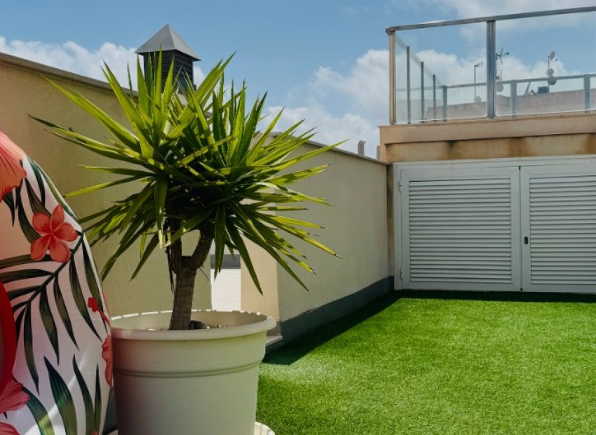 Herverkoop - Appartement / flat - Torrevieia - Playa del Cura