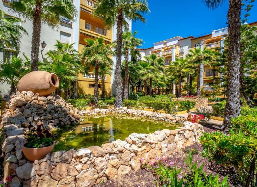 Herverkoop - Appartement / flat - Torrevieia - Playa del Cura