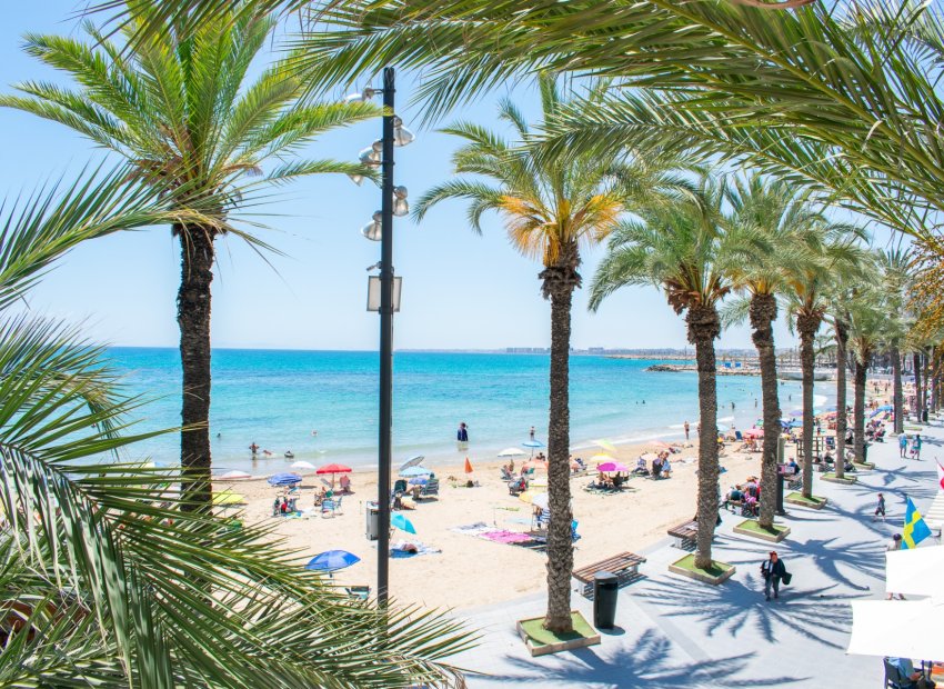 Herverkoop - Appartement / flat - Torrevieia - Playa del Cura