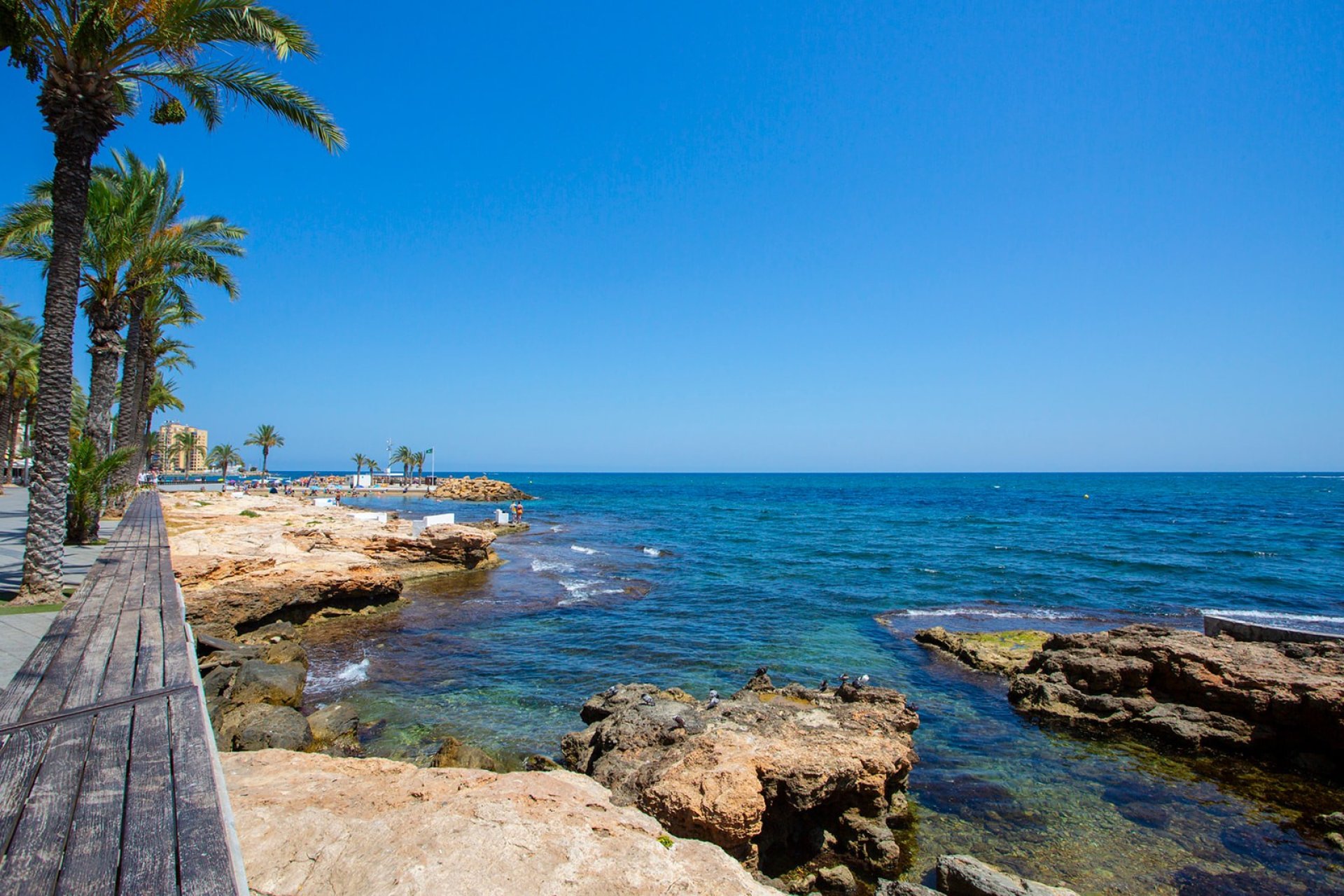 Herverkoop - Appartement / flat - Torrevieia - Playa Los Locos