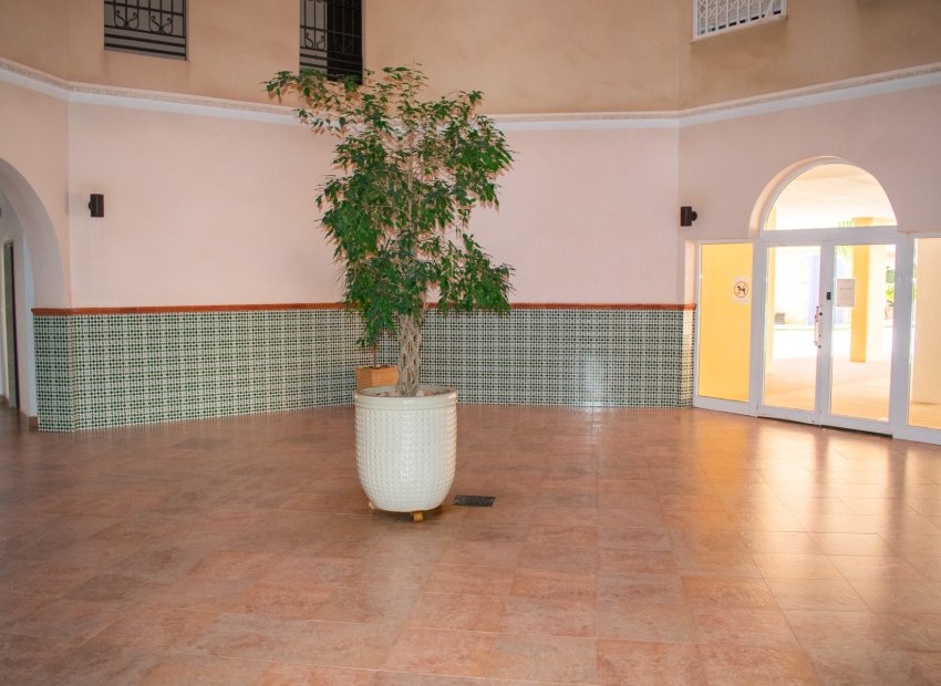 Herverkoop - Appartement / flat - Torrevieia - Playa Los Locos