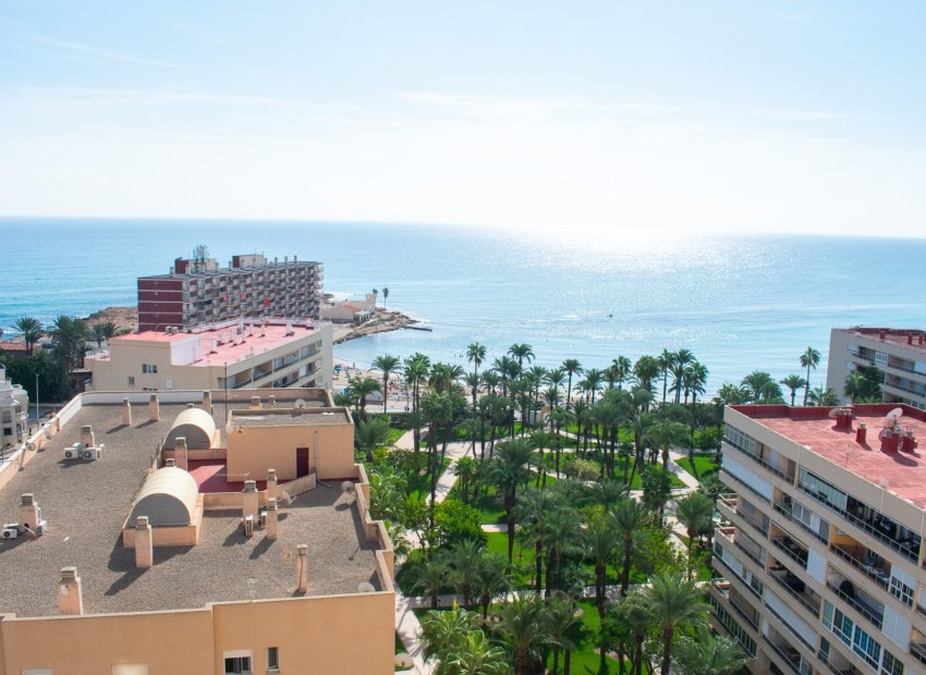 Herverkoop - Appartement / flat - Torrevieia - Playa Los Locos