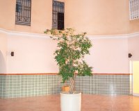 Herverkoop - Appartement / flat - Torrevieia - Playa Los Locos