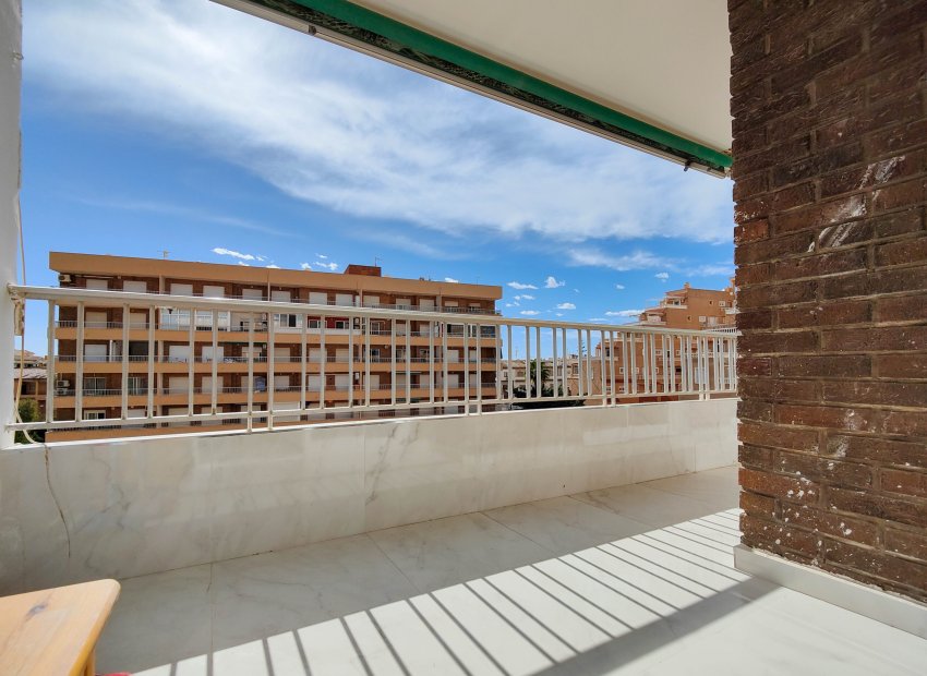 Herverkoop - Appartement / flat - Torrevieia - Punta Prima
