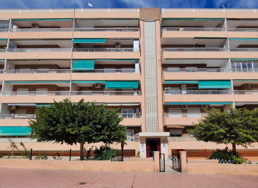 Herverkoop - Appartement / flat - Torrevieia - Punta Prima