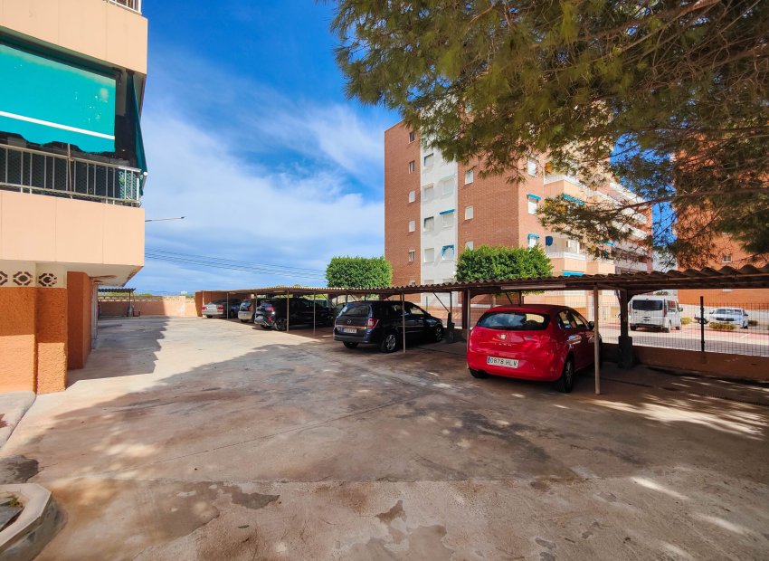 Herverkoop - Appartement / flat - Torrevieia - Punta Prima