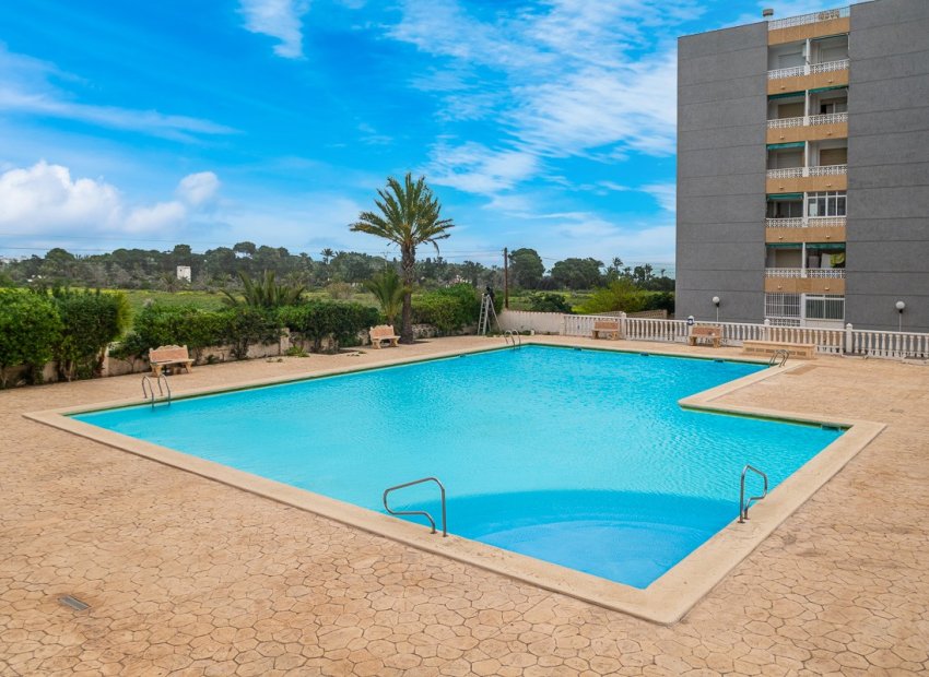 Herverkoop - Appartement / flat - Torrevieia - Punta Prima