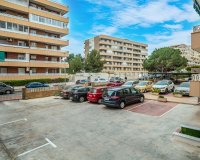 Herverkoop - Appartement / flat - Torrevieia - Punta Prima