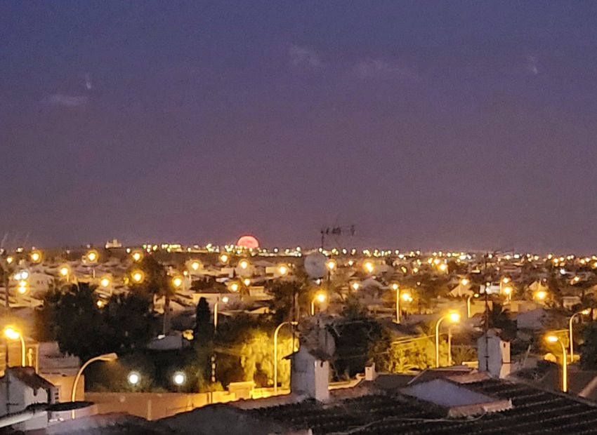 Herverkoop - Appartement / flat - Torrevieia - San Luis