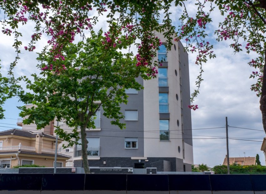 Herverkoop - Appartement / flat - Torrevieia - Torrevieja